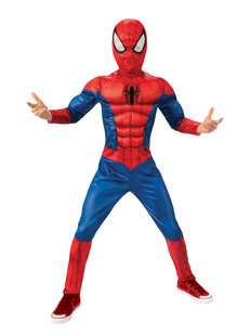 Spiderman Licentie