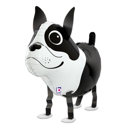 Folieballon Boston Terrier