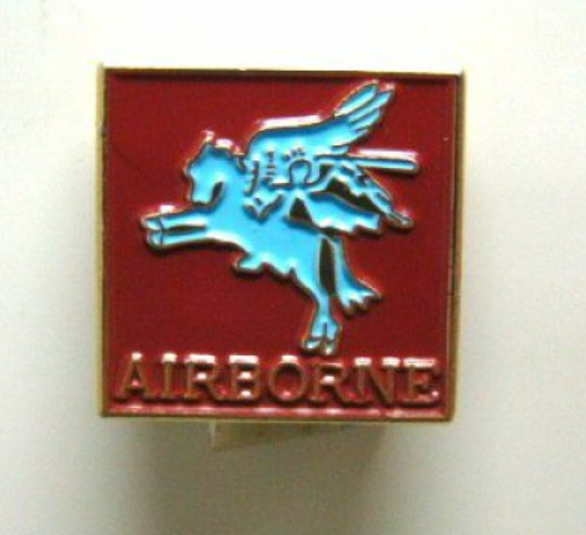 Pin Airborne Pegasus