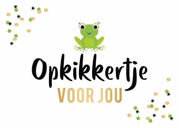 Wenskaart Daisy opkikkertje voor jou