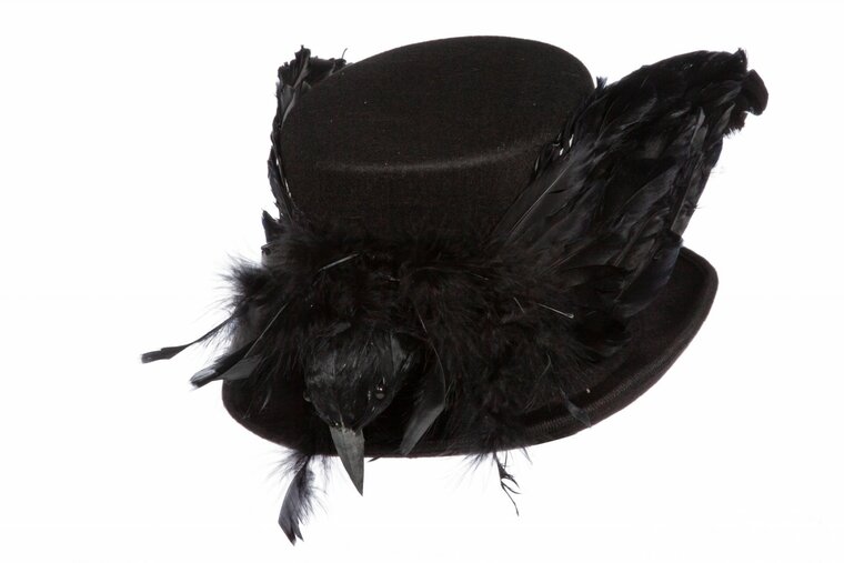 Hoge hoed zwart kraai met veren