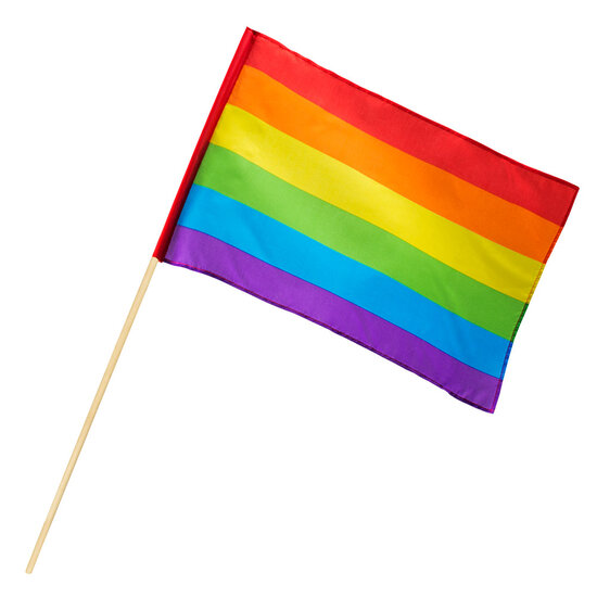 Zwaaivlag Pride Regenboog 