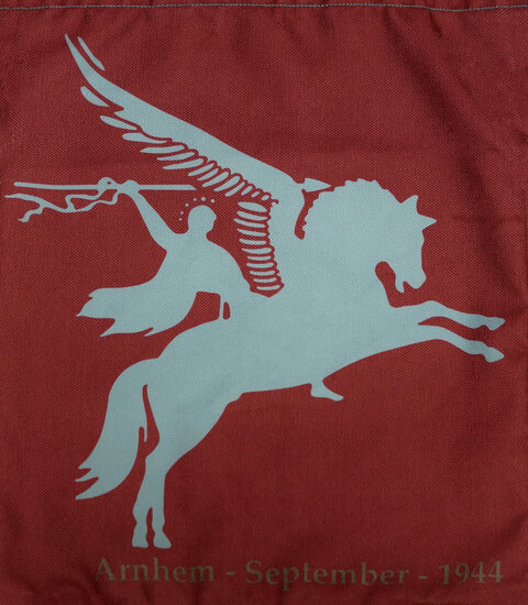 Tas Airborne Pegasus