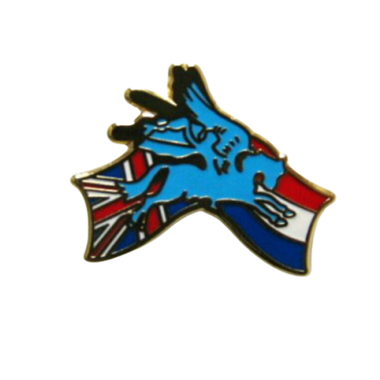 Pin Pegasus met vlag