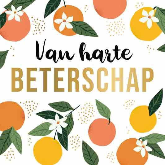 Wenskaart Daisy XL - Van Harte Beterschap - met Envelop