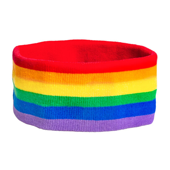 pride regenboog zweetbandjes set