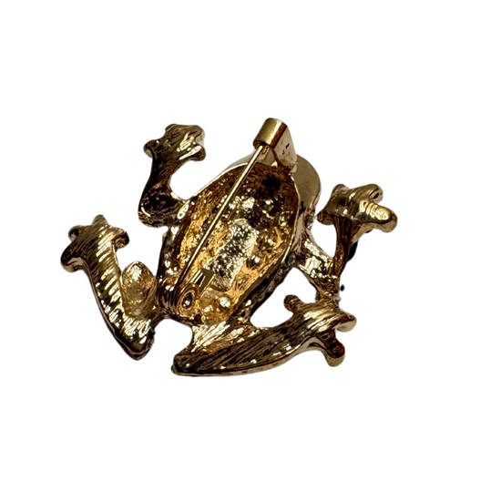 Pin - Oeteldonk - Kikker met Steentjes
