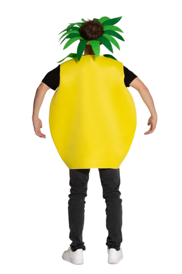 Ananas Kostuum - Geel - Volwassenen