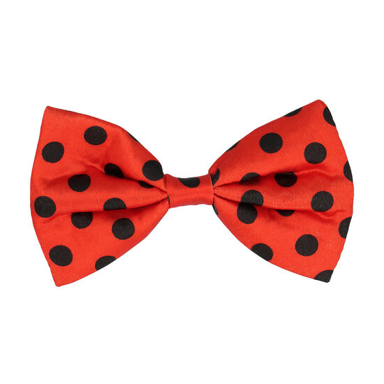 Accessoireset Lieveheersbeestje 3-delig - Bril - Bretel - Strikje