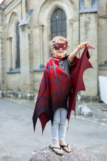 Spinnenheld cape met masker
