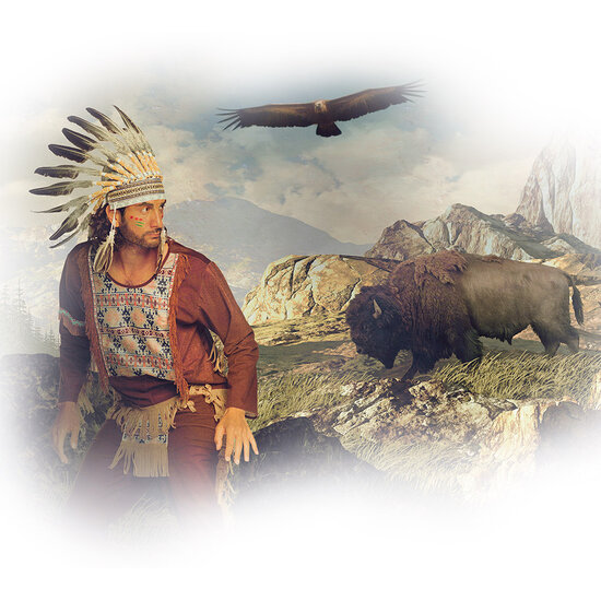 Hoofdtooi Indiaan - Wijze Opperhoofd - Volwassenen