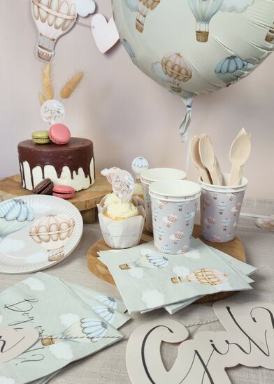 Vlaggenlijn - Baby Balloons - Gender Reveal - 6 meter