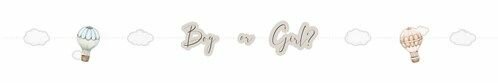 Letterslinger - Baby Balloons - Gender Reveal - 170 cm