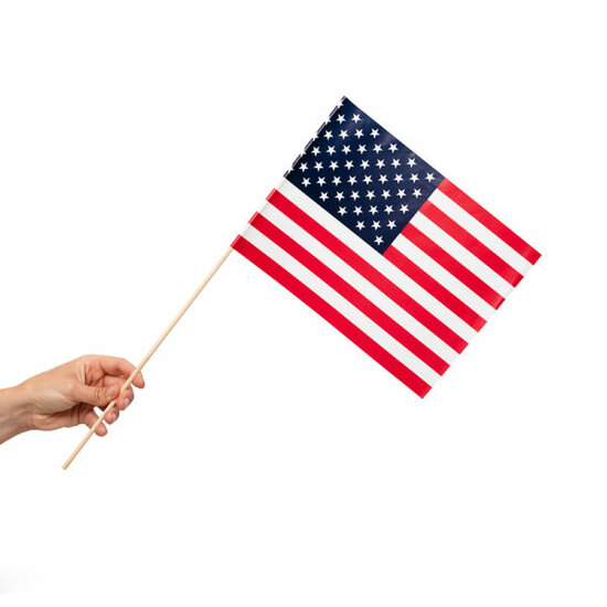 Zwaaivlaggetje Papier USA - Amerika - 10 stuks