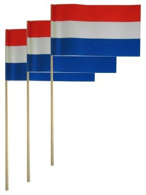 Zwaaivlag nederland