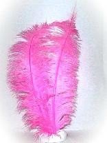 Roze veer 50 cm