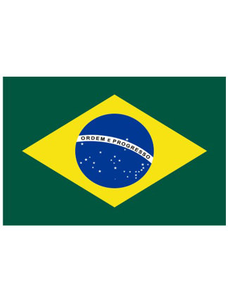 Braziliaanse vlag