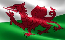 Vlag Wales 90 x 150 cm