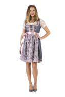 Dirndl Oudzilver-Oudroze deluxe