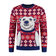 Foute Kersttrui Polar bear