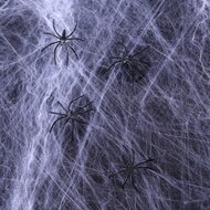 Spinnenweb grijs met 12 spinnen