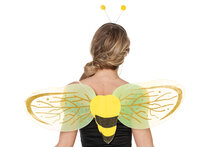 Bijenvleugels met diadeem geel zwart
