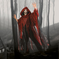 Cape ghoul rood volwassen