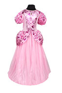 Prinsessen Jurk Cinderella meisjes