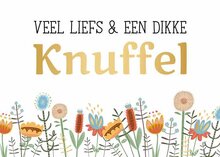 Wenskaart Daisy veel liefs en een dikke knuffel