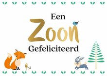 Wenskaart Daisy een zoon gefeliciteerd