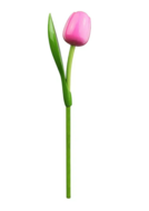 Tulp hout op steel roze-wit
