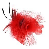 Decoratie spelt veren met bloem en tule rood