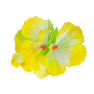 Hawaii haarclip met decoratiebloem assorti kleuren