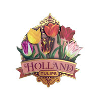 Magneet MDF pretty tulips Holland roze