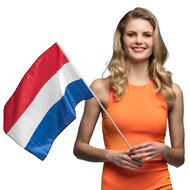 Zwaaivlag Nederland stof
