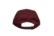 Airborne pet maroon rood