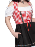 Dirndl jurk Lise rood-wit geblokt