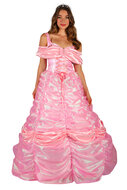 Prinsessen jurk Doornroosjes roze dames