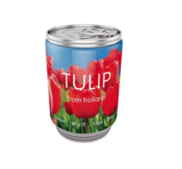 Tulpenbol in blik rood