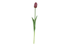Kunstbloem Tulp - Paars - Zijdebloem