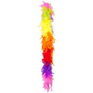 Boa Regenboog Veren - Pride Feest - 50 gram - 180 cm