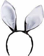 Bunny set Playboy