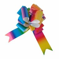 Trekstrik Regenboog Groot - 150 mm