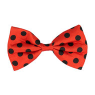 Accessoireset Lieveheersbeestje 3-delig - Bril - Bretel - Strikje