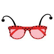 Accessoireset Lieveheersbeestje 3-delig - Bril - Bretel - Strikje