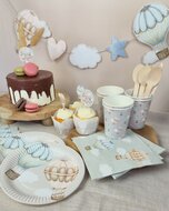 Ballonnen - Baby Balloons - Gender Reveal - 6 stuks