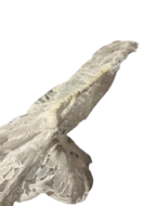 Tweedekans - klederdracht - One size