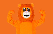 Mascotte EK/WK Oranje Leeuw Kostuum 