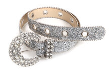  Riem Strass Smal Zilver - Disco Accessoire - Fout Feest