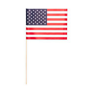 Zwaaivlaggetje Papier USA - Amerika - 10 stuks